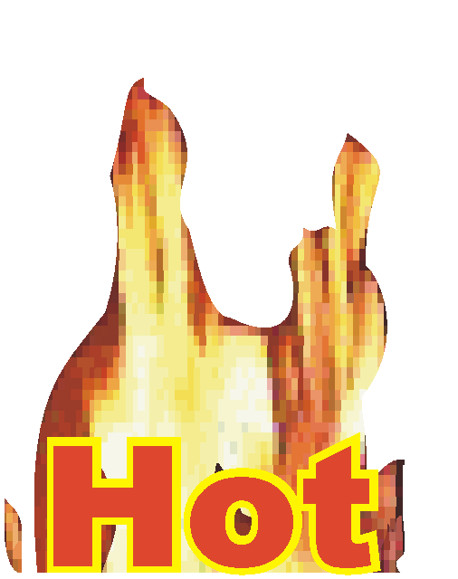 http://www.hotshotbostons.com/hot.gif